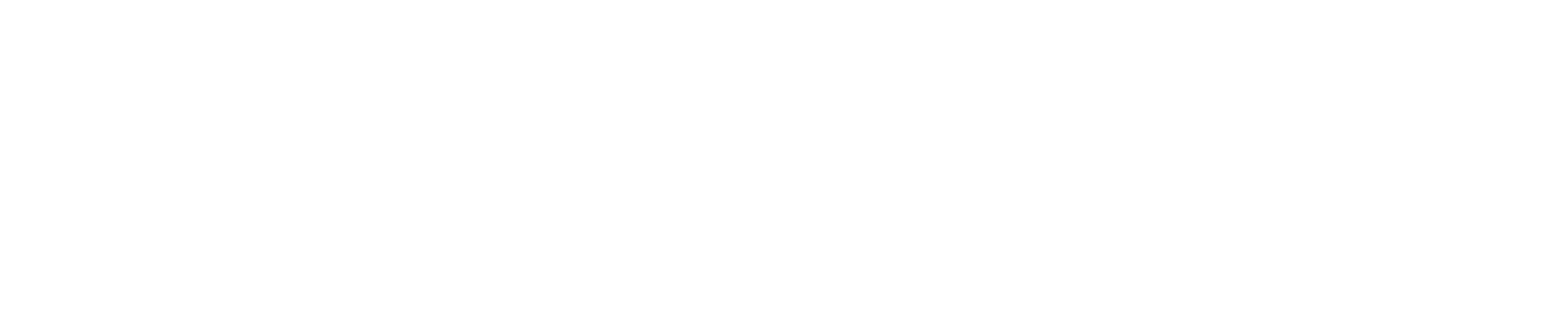 KOSTROCH Consulting & Marketing Logo weiß